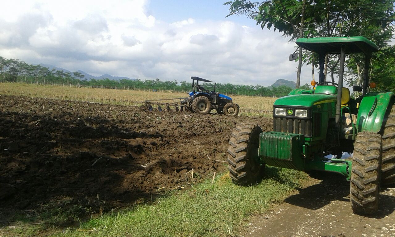 Project Jagung Pertama